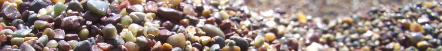 Random header image... Refresh for more!