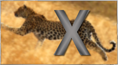  Rd Rdm.Tech.Q2.07 0F98B729-3A43-45Ca-88D7-A8A58Df4A670 Files Leopard