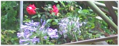 Rd Rdm.Tech.Q3.07 09532666-2Eb5-4A6A-9052-8Edbefa13385 Files Pic-0160 1