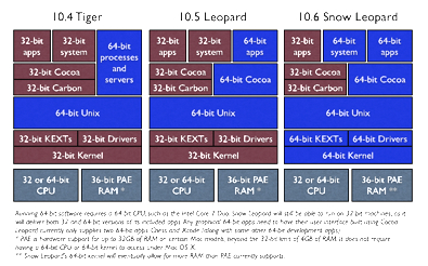 Leopard-081028
